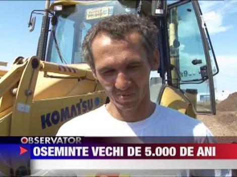 Oseminte vechi de 5.000 de ani, descoperite in Prahova
