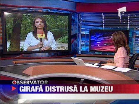 Politia Romana, pe urmele celor care au distrus girafa din fata muzeului Antipa