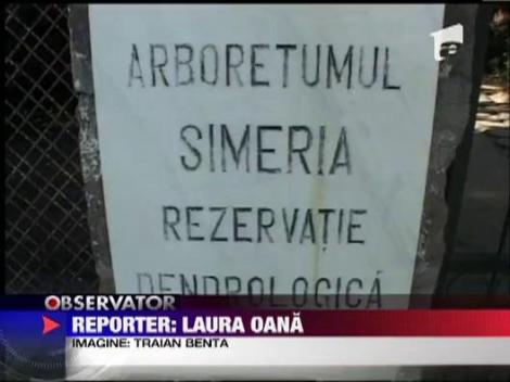 Curatenie generala in Simeria!