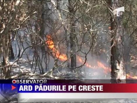 Padurile s-au aprins din nou in tara!