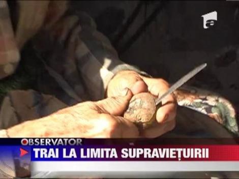 Trai la limita supravietuirii