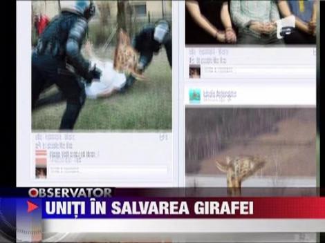 Celebra girafa distrusa in fata muzeului Antipa are cont pe Facebook