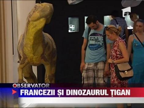 Inca un atac rasist si antiromanesc din Franta: Dinozaurul tigan, recent descoperit, seamana cu "verii" din Romania