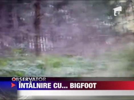 Big Foot a fost surprins in padurile din Ohio