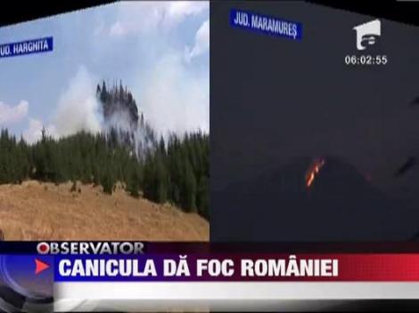 Paduri si pasuni din mai multe judete au luat foc din cauza caniculei