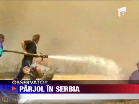 Incendiu violent de vegetatie in vestul Serbiei
