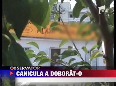 O tanara a lesinat pe o plaja privata din Iasi