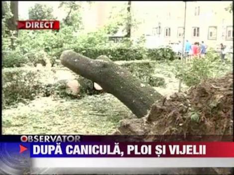 Cod galben de furtuni si vijelii in toata tara