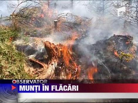 Flacarile continua sa arda in padurile din Masivul Penteleu