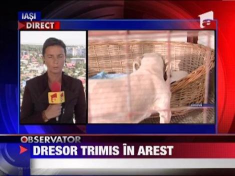 A cumparat caini si pisici de rasa cu dolari falsi