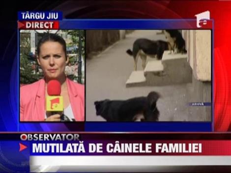 Caras-Severin: O fetita de doar cinci ani, mutilata de cainele familiei