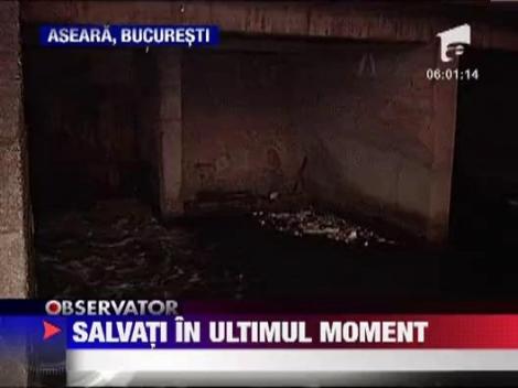 Copii salvati in ultimul moment din lacul Chitila