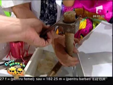 Cele mai amuzante momente de la DimiNeatza