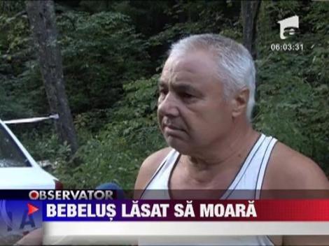Bebelus lasat sa moara la marginea drumului