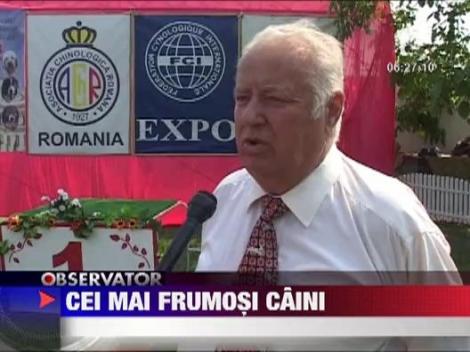 Concurs canin la Arad