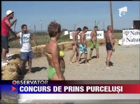 Concurs de prins purcelusi la Covasna