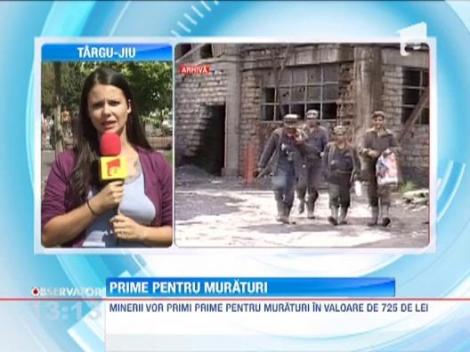 Peste noua mii de mineri vor primi prime pentru muraturi