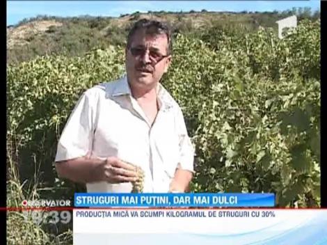 Struguri mai putini, dar mai dulci