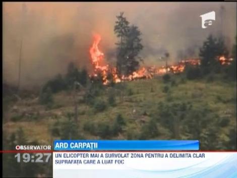 Ard Carpatii! Incendii puternice in Muntii Calimani si Gurghiului