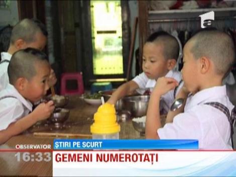 O mama cu 4 gemeni si-a "numerotat" copiii prin tunsoare ca sa nu-i incurce!