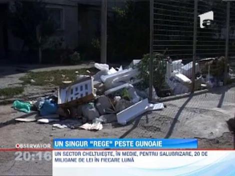 Bucurestenii produc 12.000 tone de deseuri intr-o singura luna