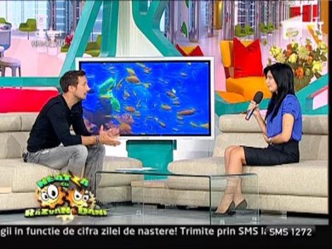 Tot mai putini romani merg la stomatolog