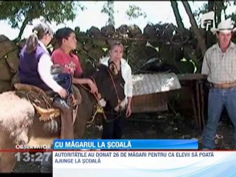 Autoritatile mexicane au donat 26 de magari pentru ca elevii sa poata ajunge la scoala