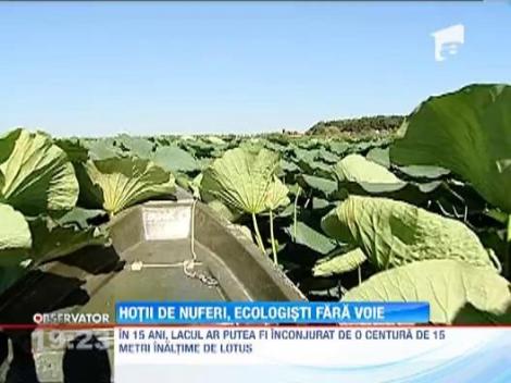 Hotii de nuferi, ecologisti fara sa stie