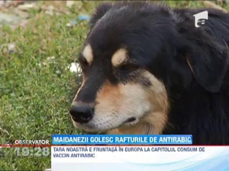 Stocurile de vaccin antirabic din Romania sunt aproape epuizate