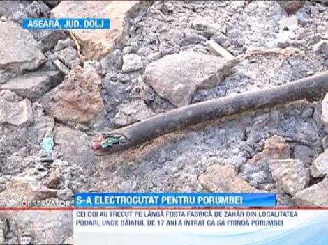 Un adolescent de 17 ani a murit electrocutat dupa ce a fugit dupa mai multi porumbei