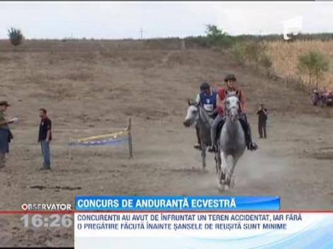Concurs pentru calareti la Bistrita Nasaud