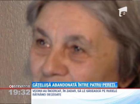 Catelusa abandonata intr-un apartament din Capitala
