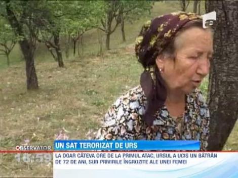 UPDATE! Dambovita: Trei oameni, atacati de un urs. Un barbat de 71 de ani a decedat