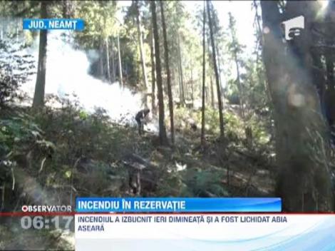 Incendiu in Rezervatia Naturala Cheile Bicazului