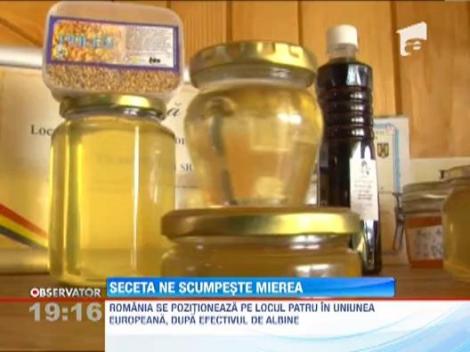 Produsele apicole se scumpesc cu pana la 30%