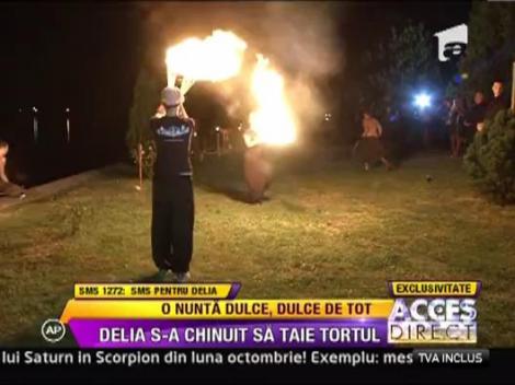 Delia s-a chinuit sa taie tortul