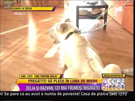 Delia s-a trezit cu un leu in casa imediat dupa nunta!