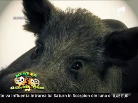 O noapte la muzeul Antipa