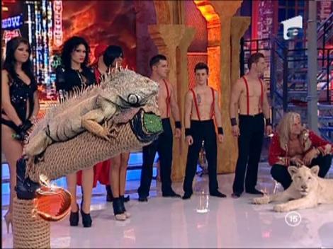 Bianca, aleasa cea mai tare animatoare de club