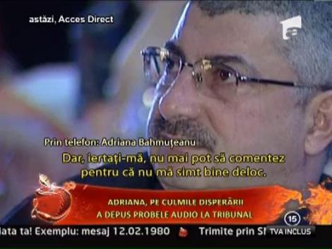 Adriana Bahmuteanu a depus probele audio la tribunal