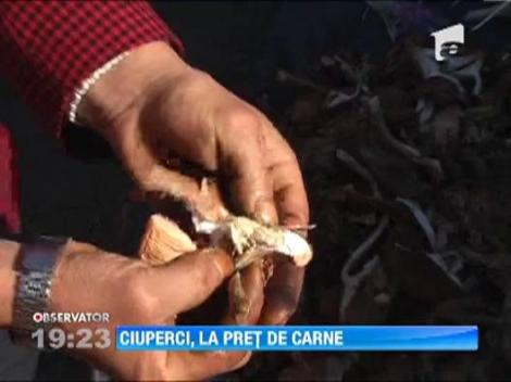 Ciupercile de sezon, mai scumpe decat carnea