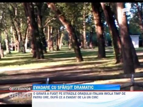 Evadare cu sfarsit dramatic in nordul Italiei