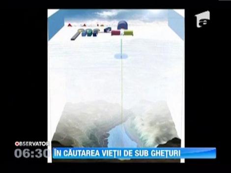 Rusii, britanicii si americanii se intrec sa gaseasca forme de viata sub gheata din Antarctica