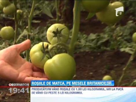 Rosiile romanesti, bune la export: 100.000 de tone vor ajunge, anual, in Marea Britanie