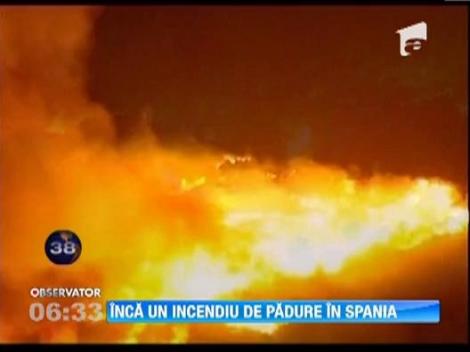 Incendiu puternic de padure in Spania