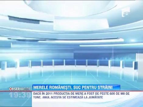 Mancam mere din Italia! Productia romaneasca merge la export