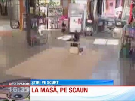 Starship, catelul care mananca exact ca bebelusii!