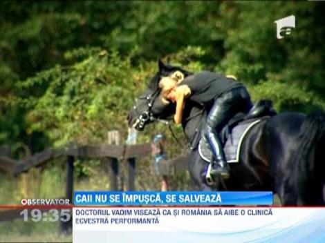 Caii nu se impusca, se salveaza