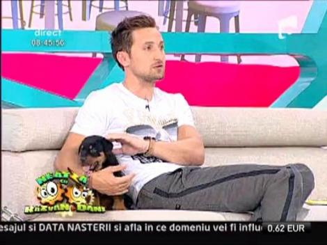 Cum se hraneste corect un catel