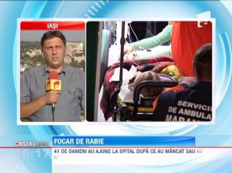 Ospat cu rabie in judetul Vaslui: 41 de oameni au ajuns la spital